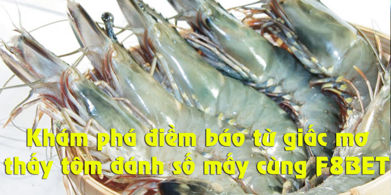 Khám phá mơ thấy tôm đánh số mấy từ luận giải giấc mơ