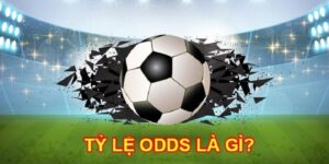 Khám phá tỷ lệ odds giúp bạn nâng tầm cá cược.